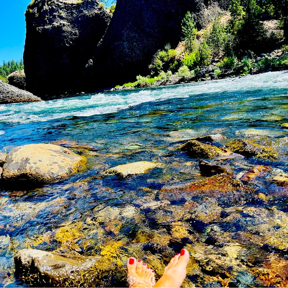 Meet your Posher, Lauren